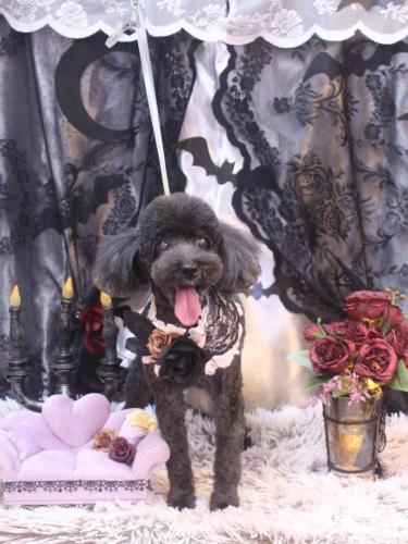 20231028梅ちゃん